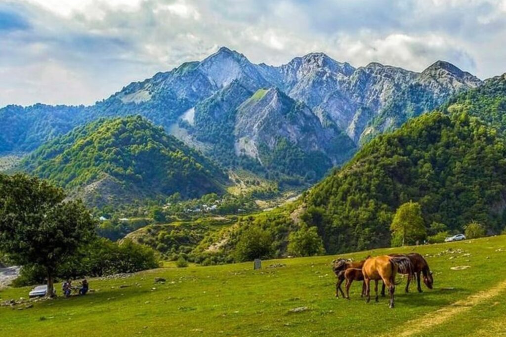 A lush, green mountain landscape in Azerbaijan. In the foreground, three horses graze on a bright green meadow, with steep, forested slopes rising to meet rocky, gray peaks under a cloudy sky.