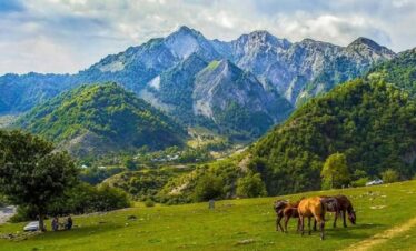A lush, green mountain landscape in Azerbaijan. In the foreground, three horses graze on a bright green meadow, with steep, forested slopes rising to meet rocky, gray peaks under a cloudy sky.